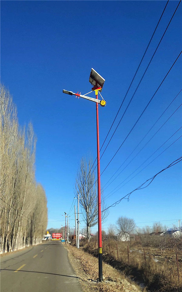 8米特色仿古路灯