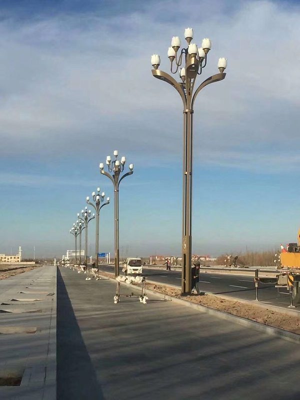 10米玉兰景观灯