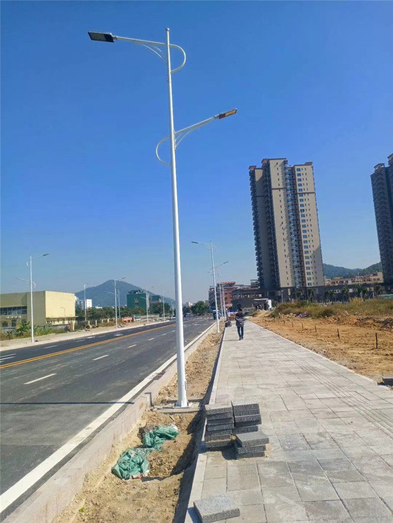 8米市电双臂路灯